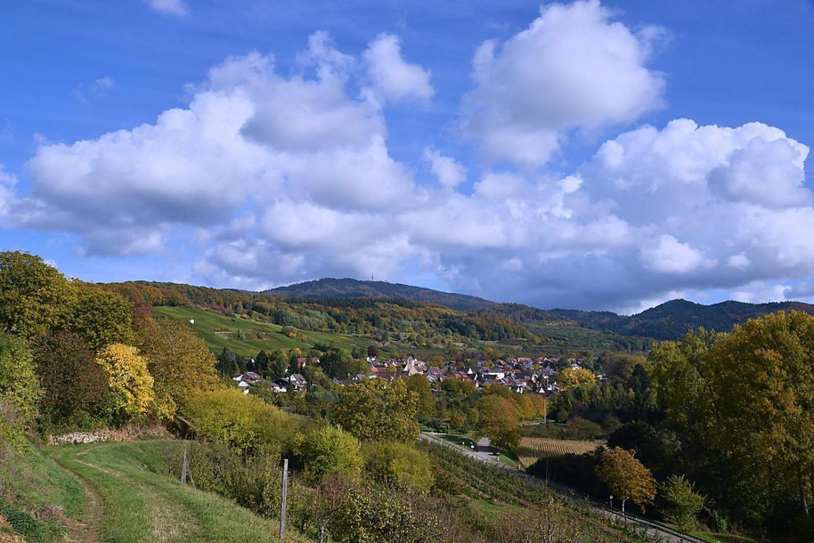 Am Paradies Bed and Breakfast Mullheim  Buitenkant foto