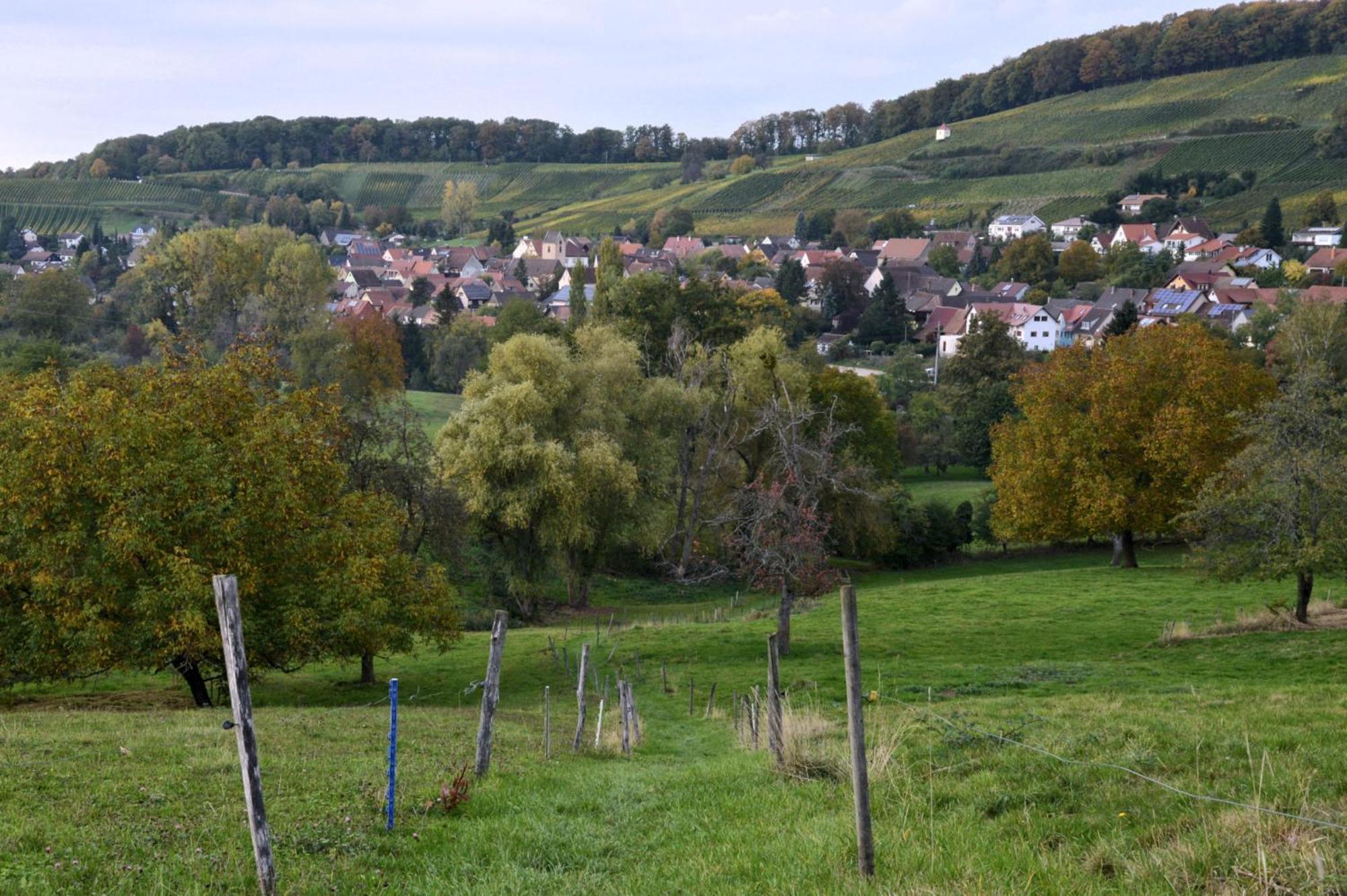 Am Paradies Bed and Breakfast Mullheim  Buitenkant foto