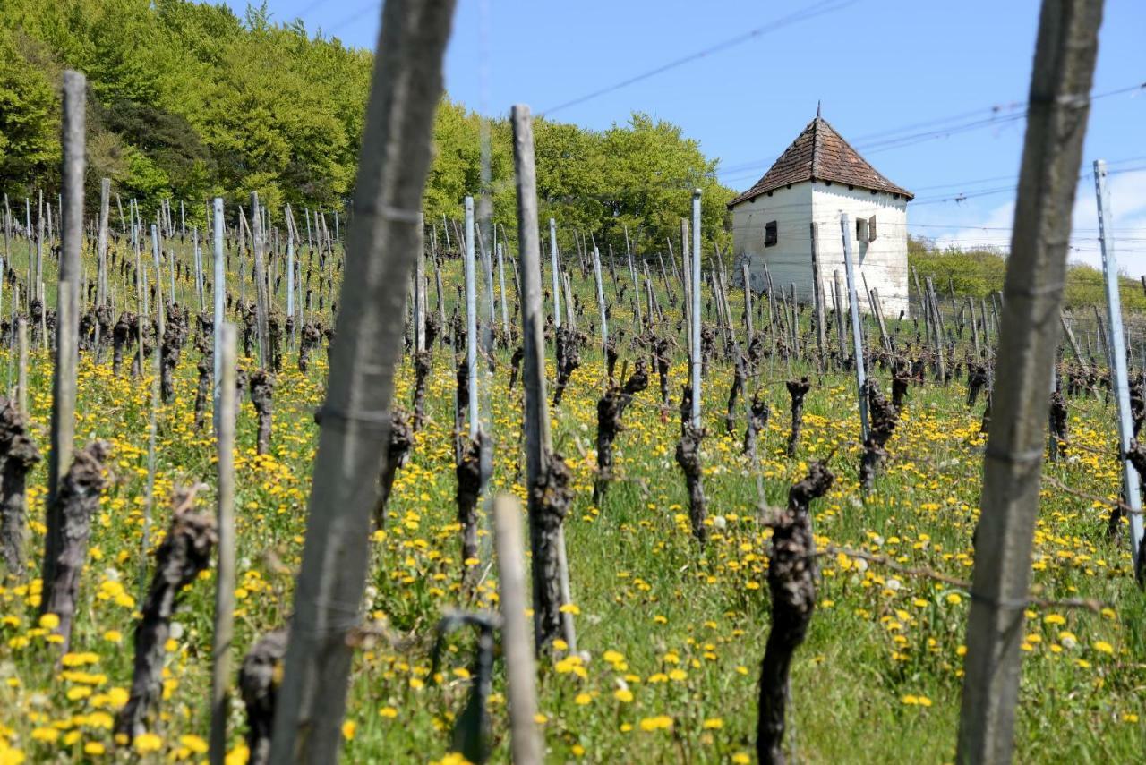 Am Paradies Bed and Breakfast Mullheim  Buitenkant foto